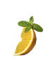 common.lemonAlt